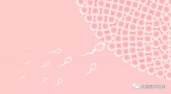 从着床到分娩，宝宝告诉你ta经历了怎样的300天